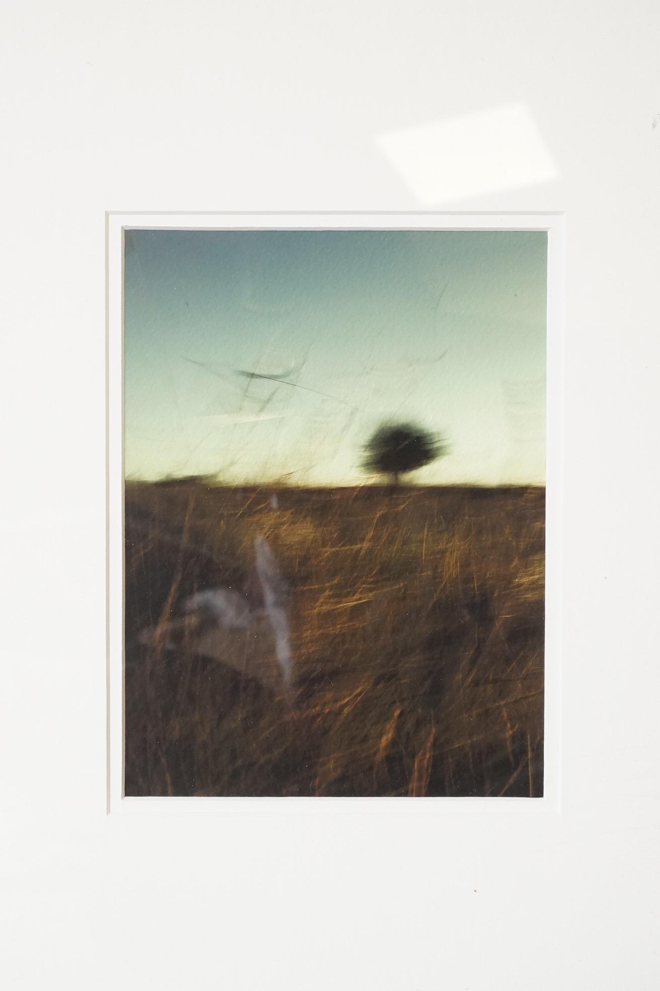Three photographic prints, Landscapes and Sunflower in a vase, unsigned, largest 17 x 27cm